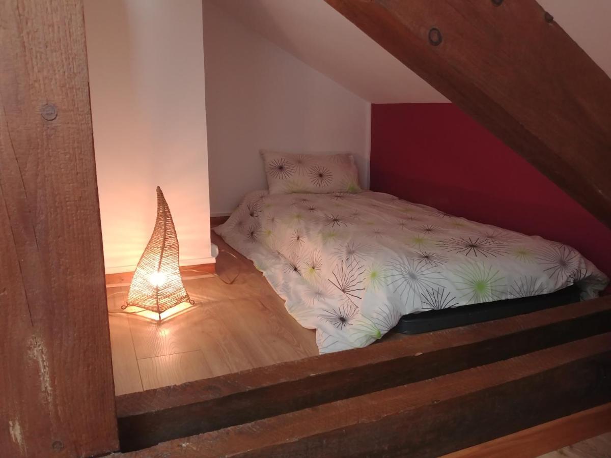 2 Chambres Privees Au Calme - Quartier Universite Dijon Kültér fotó